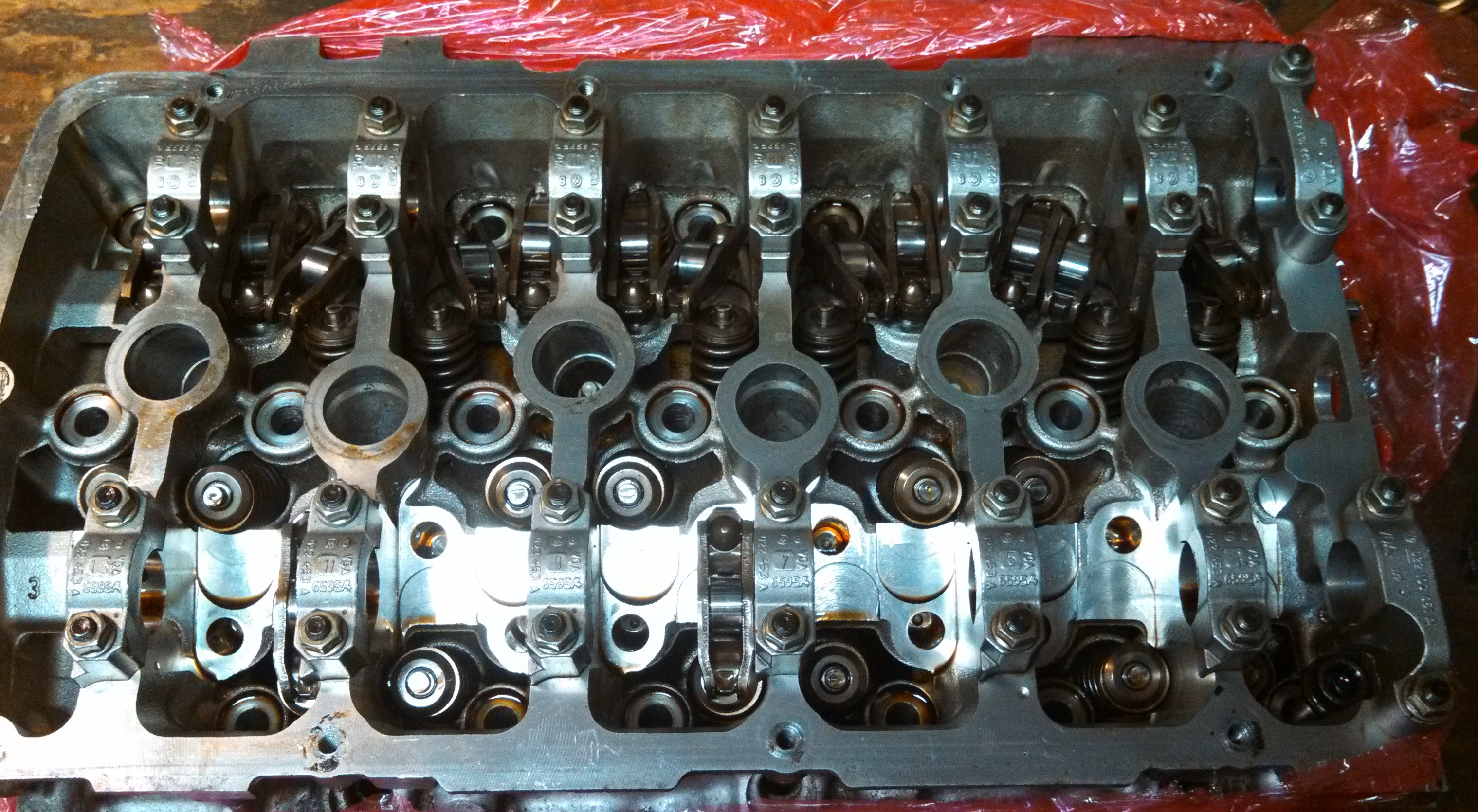 mmmm fresh head2.jpg