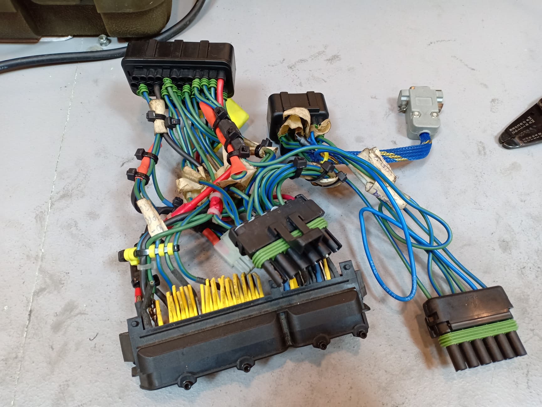 old adapter harness.jpg