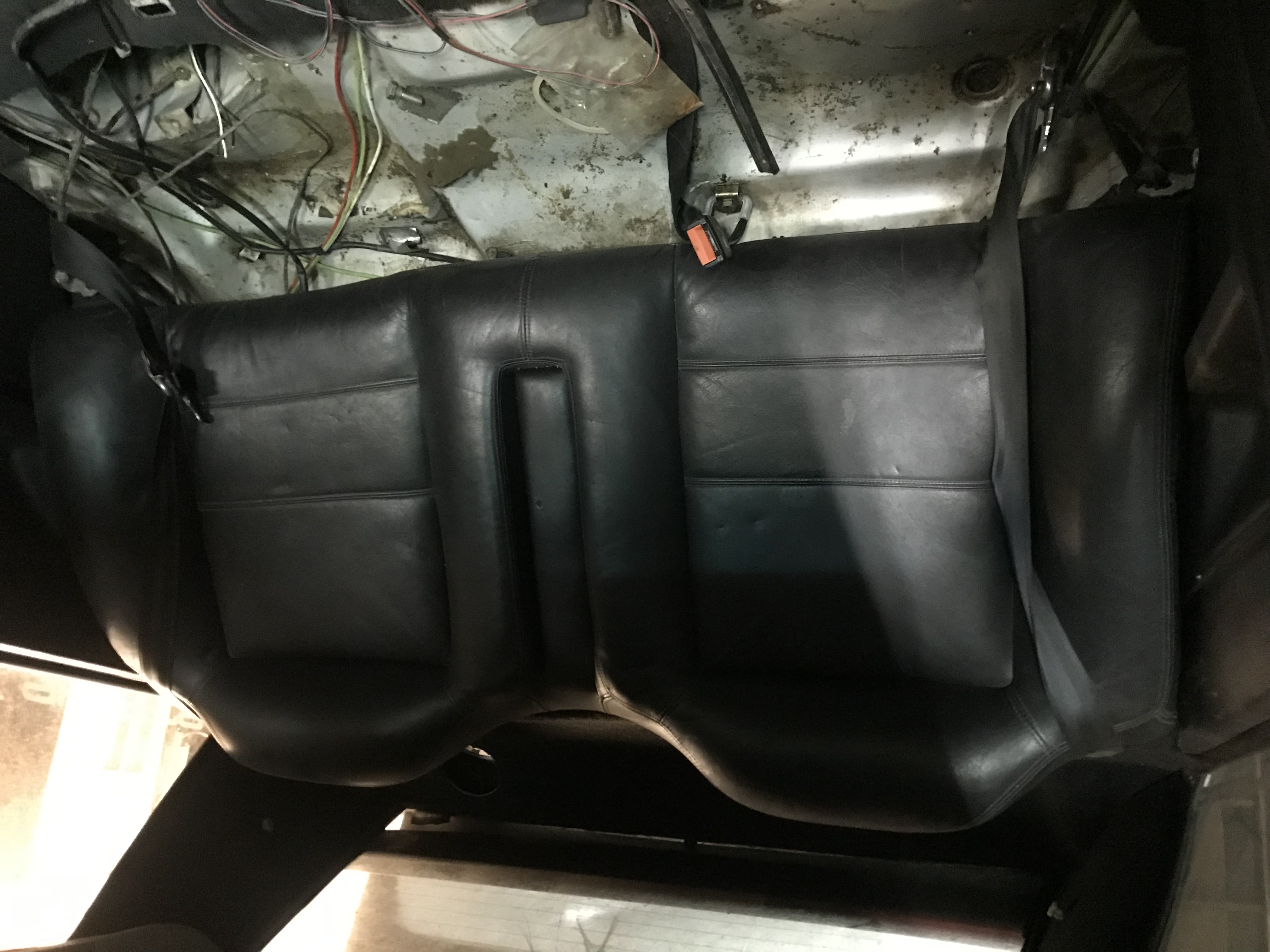 Rear body harness done