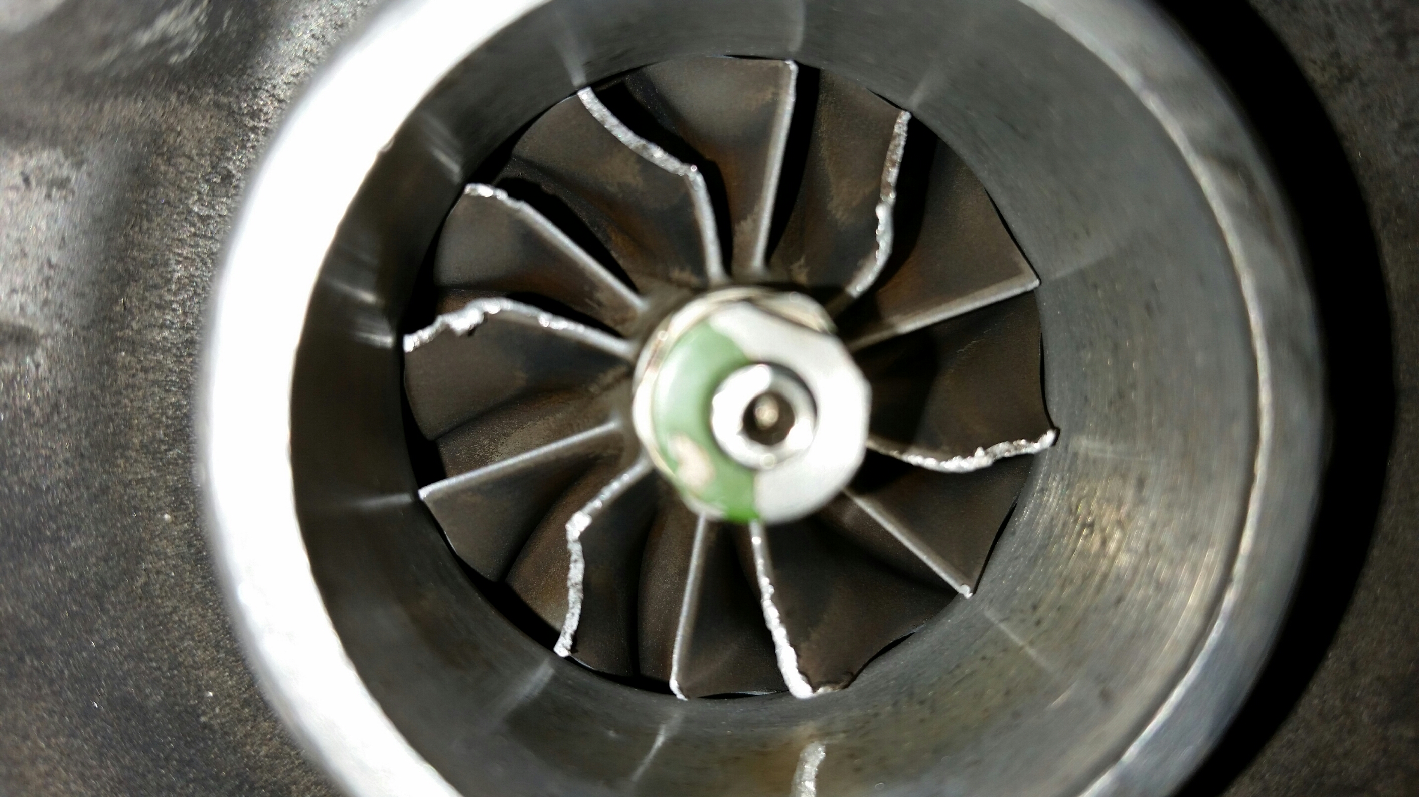 2015-06-21 10.46.41.jpg